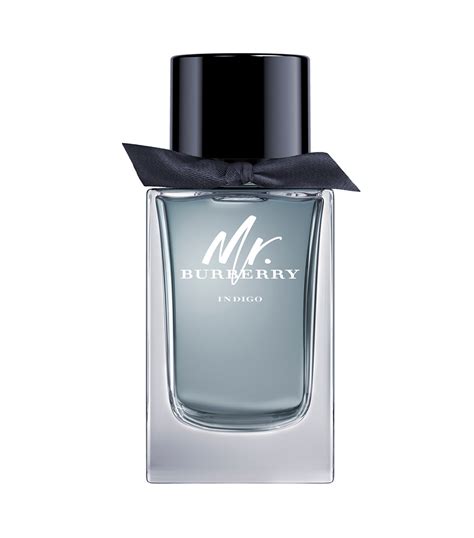 mr burberry perfume 100 ml|mr burberry indigo price.